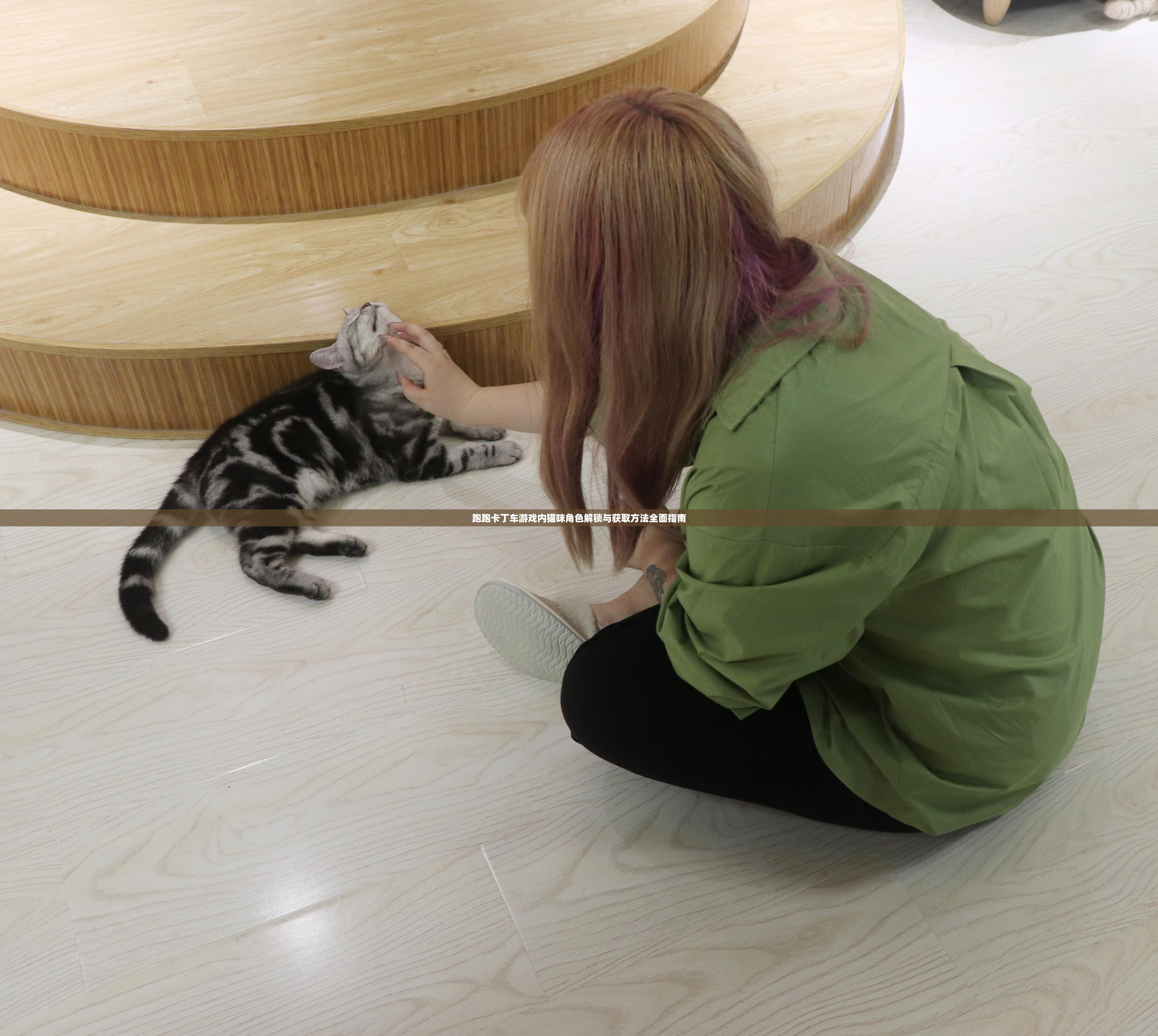 跑跑卡丁车游戏内猫咪角色解锁与获取方法全面指南
