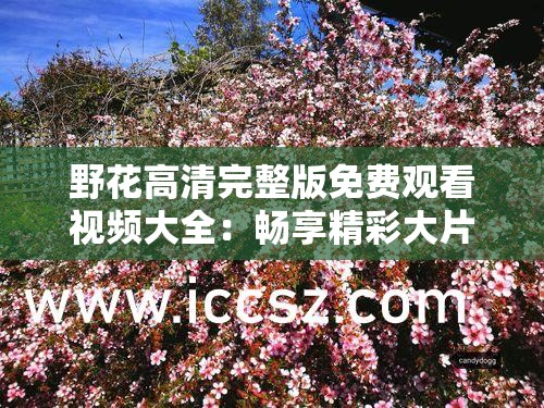 野花高清完整版免费观看视频大全：畅享精彩大片盛宴