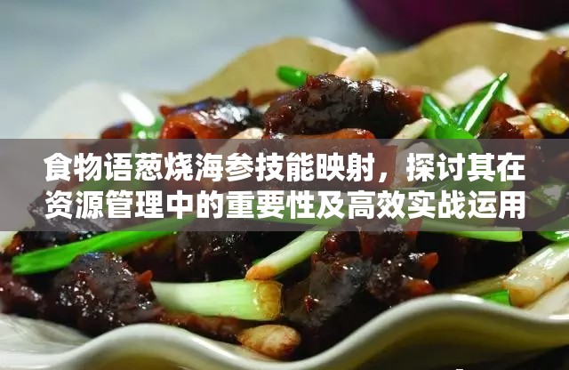 食物语葱烧海参技能映射，探讨其在资源管理中的重要性及高效实战运用策略