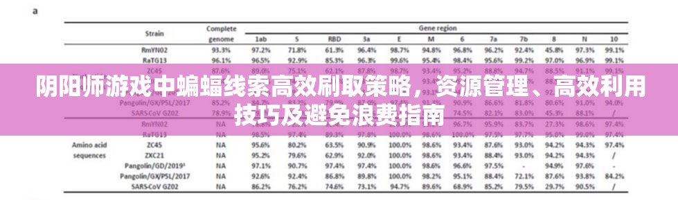 阴阳师游戏中蝙蝠线索高效刷取策略，资源管理、高效利用技巧及避免浪费指南