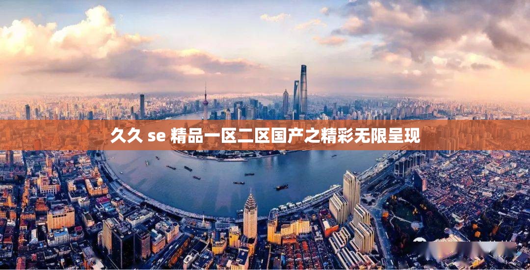 久久 se 精品一区二区国产之精彩无限呈现