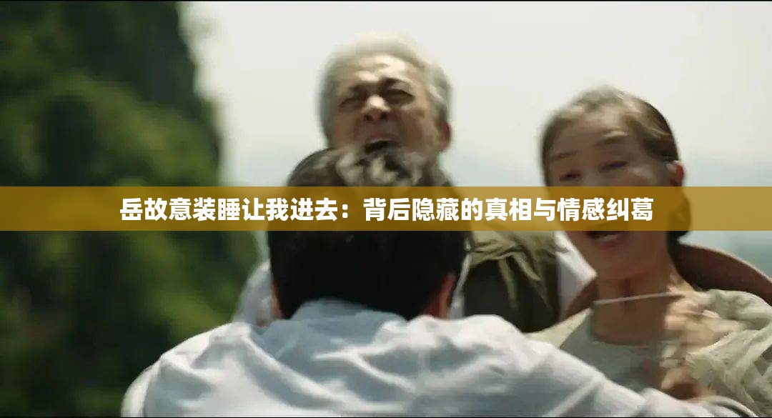 岳故意装睡让我进去：背后隐藏的真相与情感纠葛