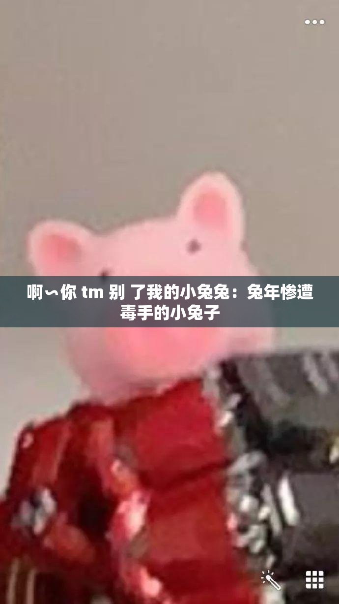 啊∽你 tm 别 了我的小兔兔：兔年惨遭毒手的小兔子