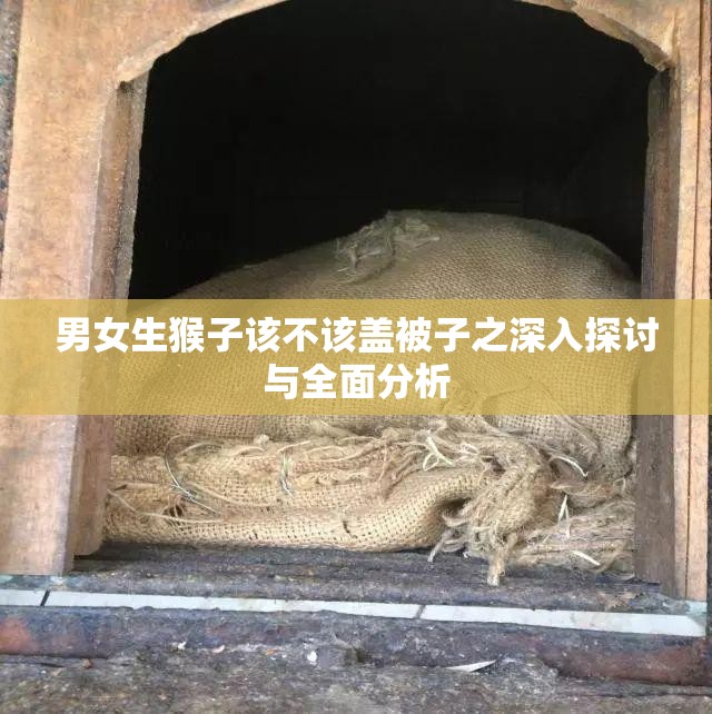 男女生猴子该不该盖被子之深入探讨与全面分析