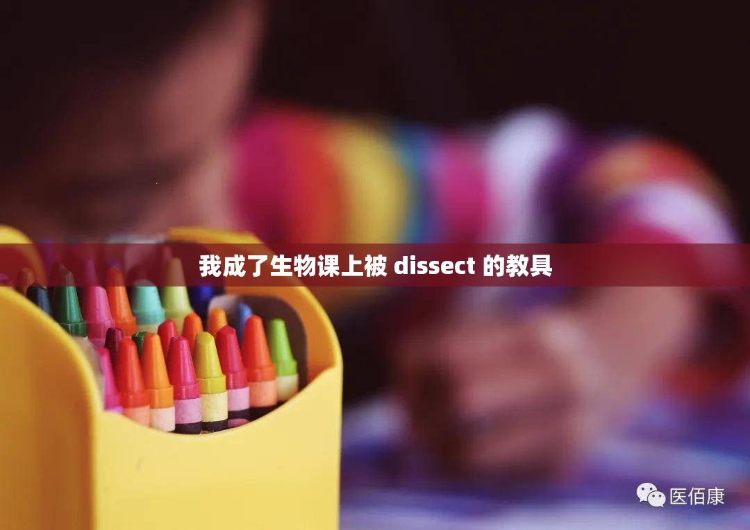 我成了生物课上被 dissect 的教具