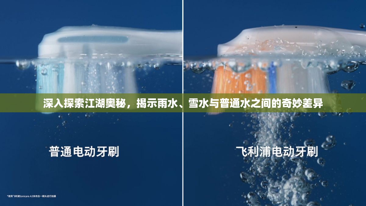 深入探索江湖奥秘，揭示雨水、雪水与普通水之间的奇妙差异