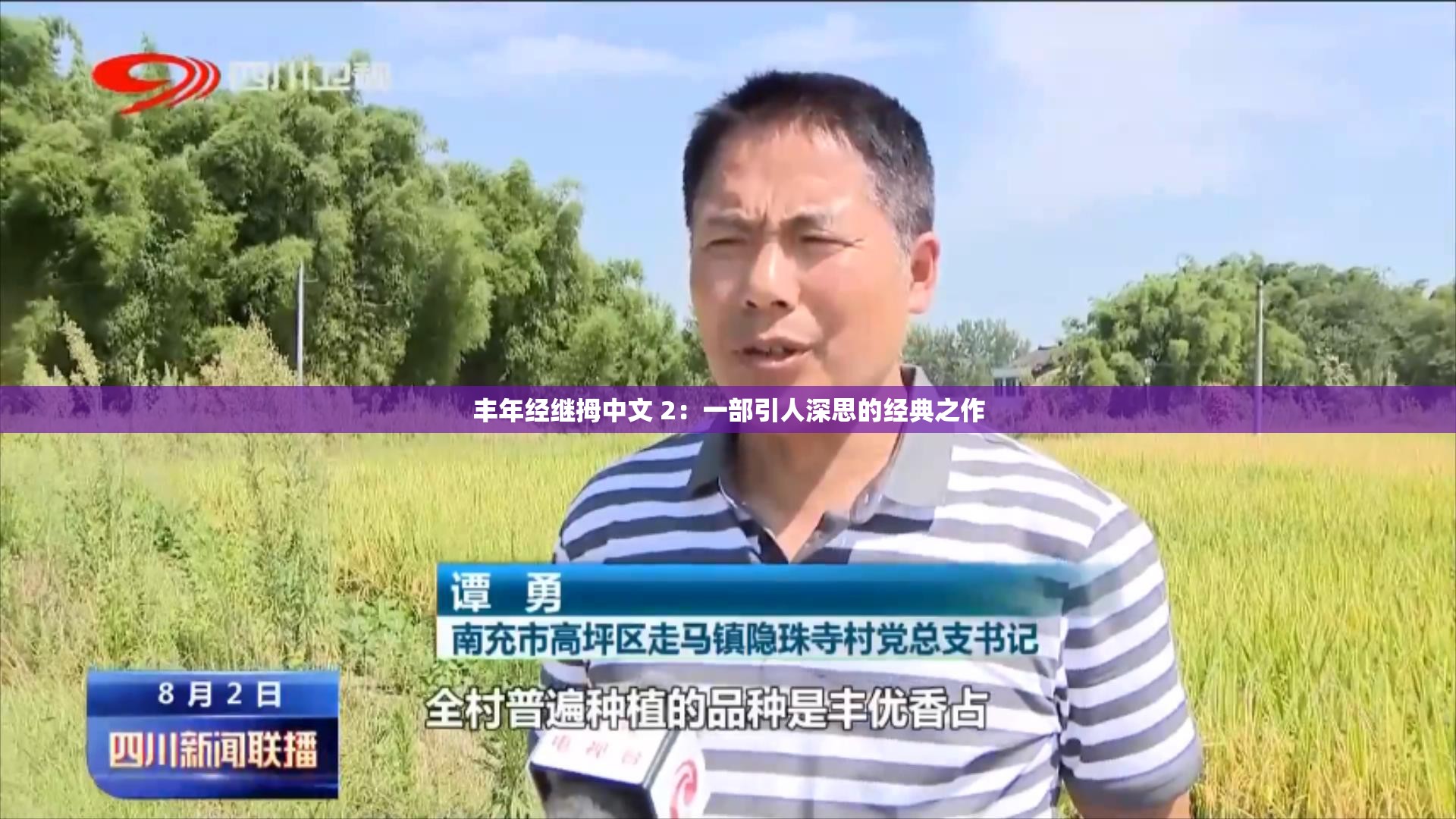 丰年经继拇中文 2：一部引人深思的经典之作