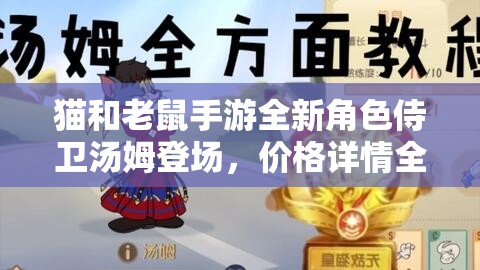 猫和老鼠手游全新角色侍卫汤姆登场，价格详情全面揭秘