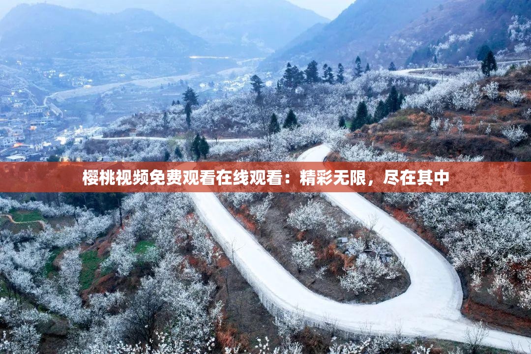樱桃视频免费观看在线观看：精彩无限，尽在其中