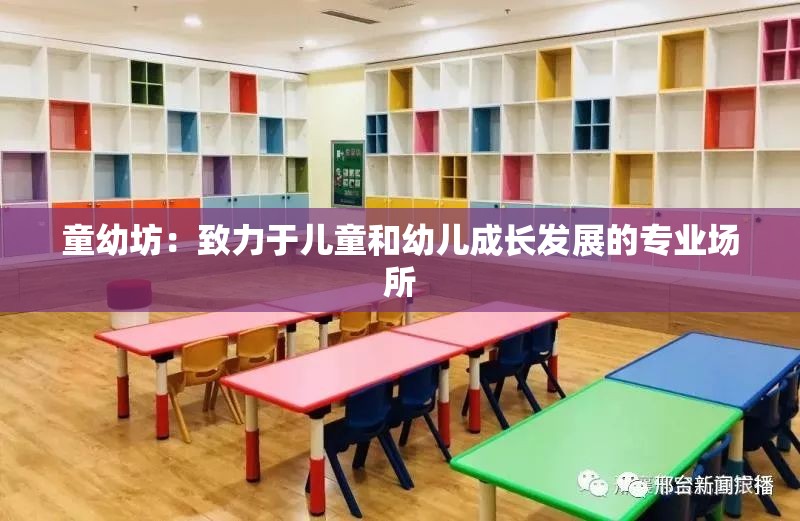 童幼坊：致力于儿童和幼儿成长发展的专业场所