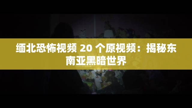 缅北恐怖视频 20 个原视频：揭秘东南亚黑暗世界