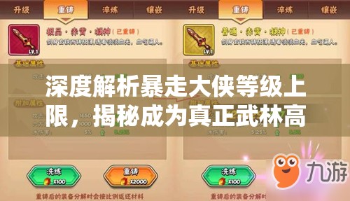 深度解析暴走大侠等级上限，揭秘成为真正武林高手的必备条件与挑战