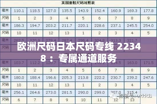 欧洲尺码日本尺码专线 22348 ：专属通道服务