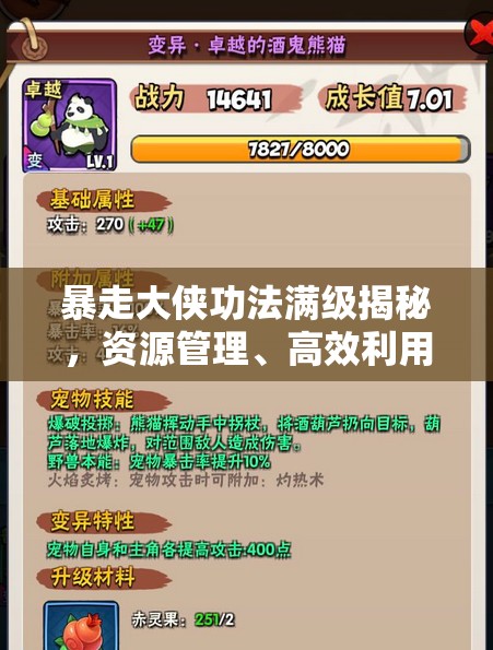 暴走大侠功法满级揭秘，资源管理、高效利用策略及避免浪费技巧