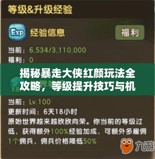 揭秘暴走大侠红颜玩法全攻略，等级提升技巧与机制大揭秘