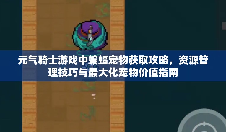 元气骑士游戏中蝙蝠宠物获取攻略，资源管理技巧与最大化宠物价值指南