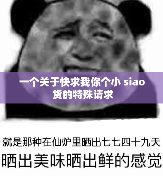 一个关于快求我你个小 siao 货的特殊请求