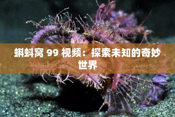 蝌蚪窝 99 视频：探索未知的奇妙世界