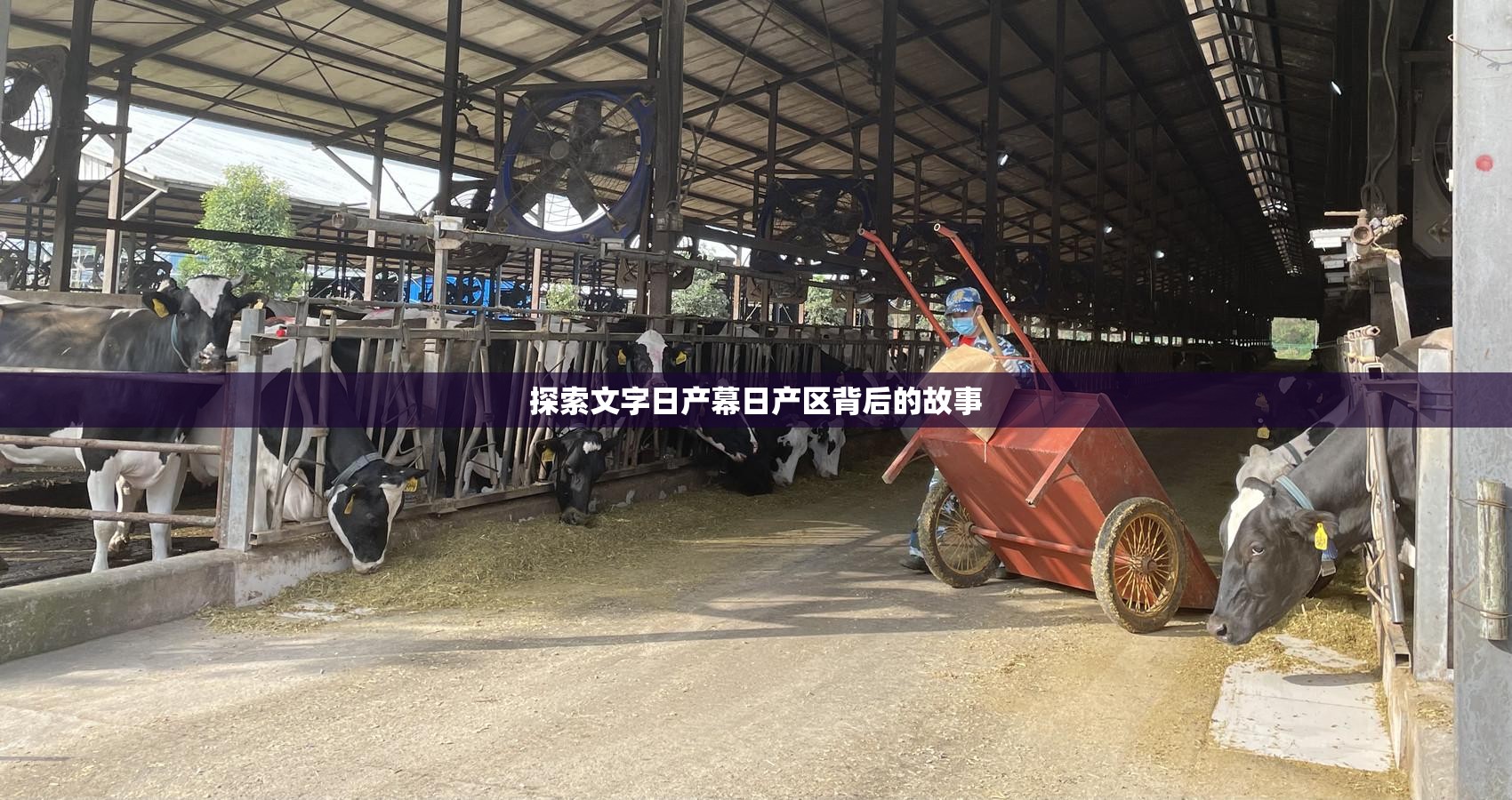 探索文字日产幕日产区背后的故事