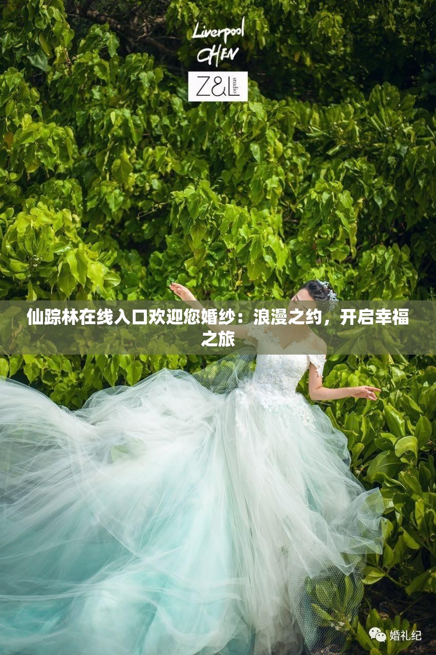 仙踪林在线入口欢迎您婚纱：浪漫之约，开启幸福之旅