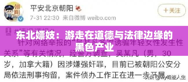 东北嫖妓：游走在道德与法律边缘的黑色产业