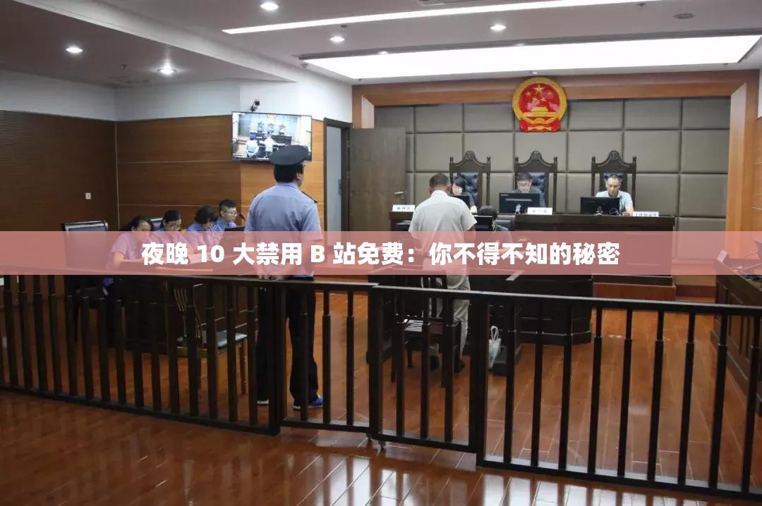 夜晚 10 大禁用 B 站免费：你不得不知的秘密