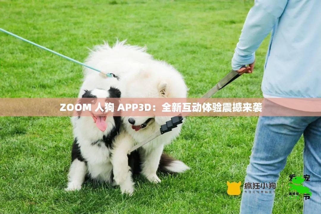 ZOOM 人狗 APP3D：全新互动体验震撼来袭