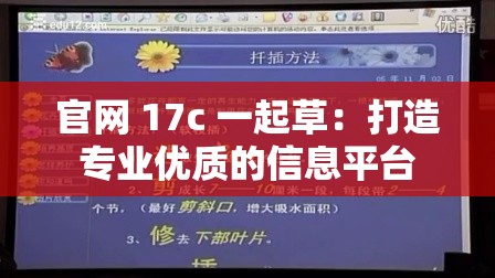 官网 17c 一起草：打造专业优质的信息平台