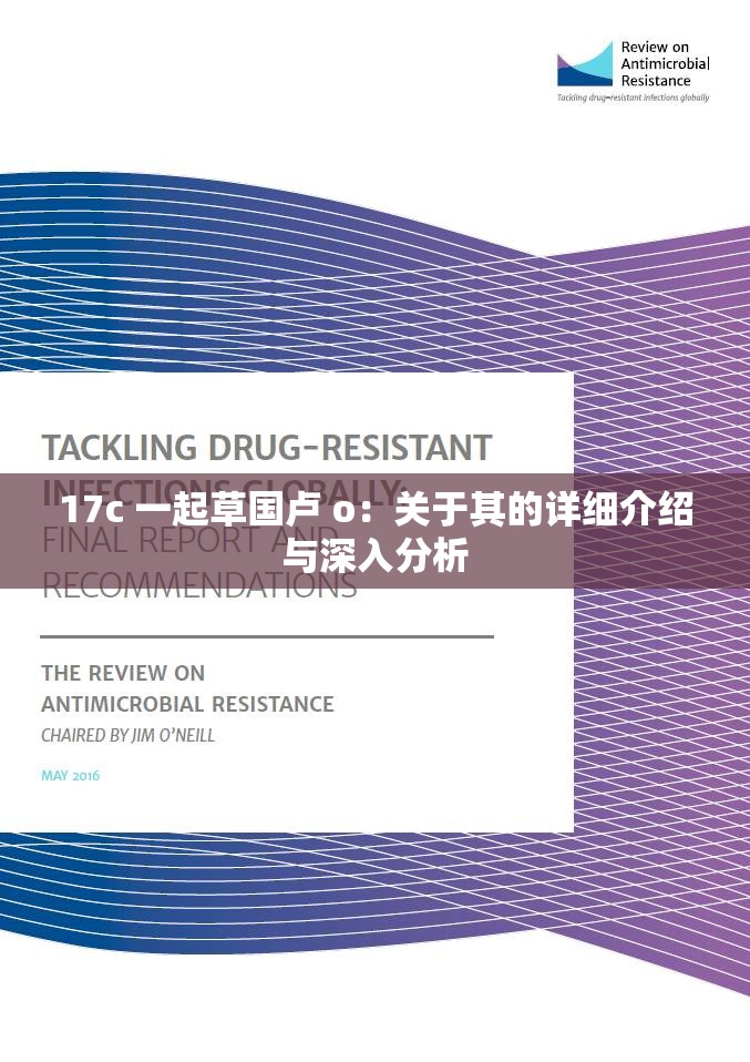 17c 一起草国卢 o：关于其的详细介绍与深入分析