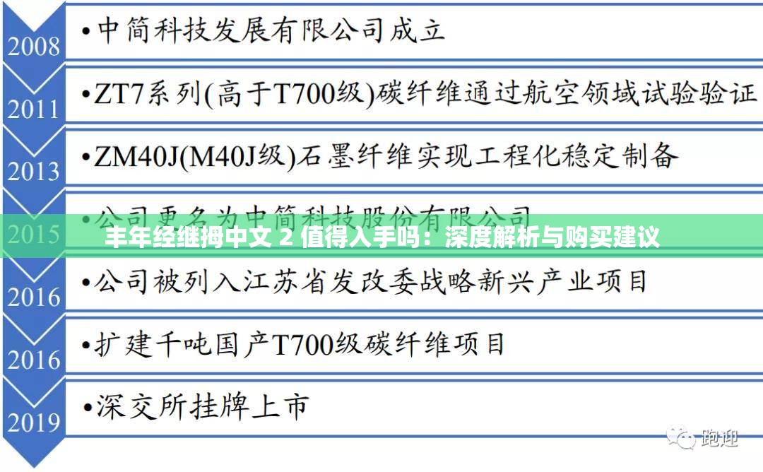 丰年经继拇中文 2 值得入手吗：深度解析与购买建议