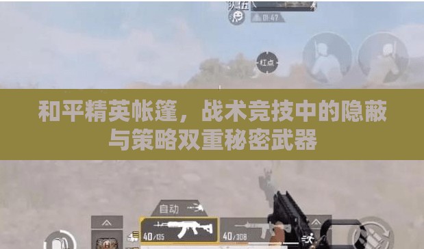 和平精英帐篷，战术竞技中的隐蔽与策略双重秘密武器