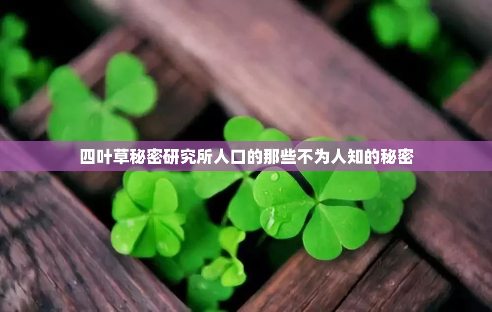 四叶草秘密研究所人口的那些不为人知的秘密