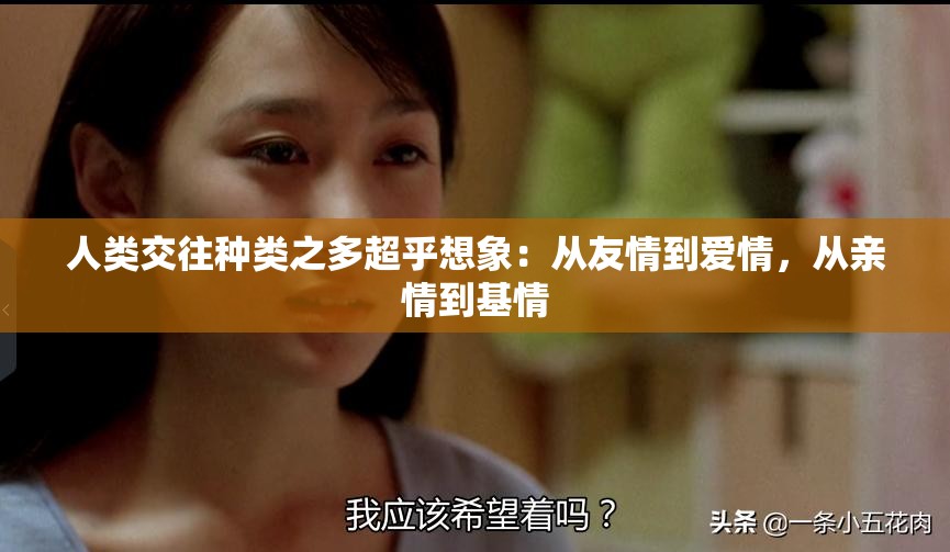 人类交往种类之多超乎想象：从友情到爱情，从亲情到基情