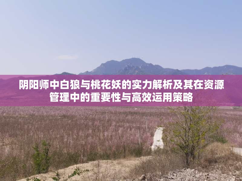 阴阳师中白狼与桃花妖的实力解析及其在资源管理中的重要性与高效运用策略