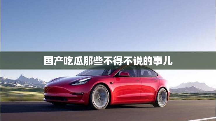 国产吃瓜那些不得不说的事儿