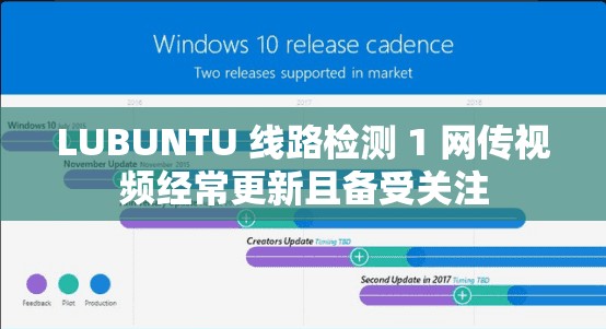 LUBUNTU 线路检测 1 网传视频经常更新且备受关注