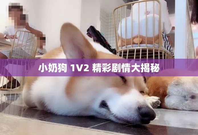 小奶狗 1V2 精彩剧情大揭秘