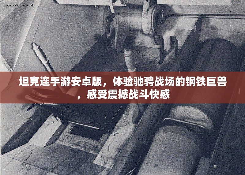 坦克连手游安卓版，体验驰骋战场的钢铁巨兽，感受震撼战斗快感