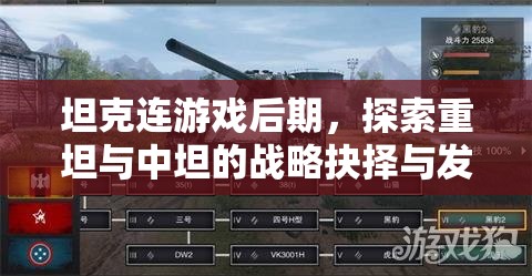 坦克连游戏后期，探索重坦与中坦的战略抉择与发展路径