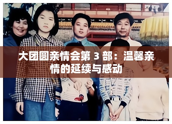大团圆亲情会第 3 部：温馨亲情的延续与感动