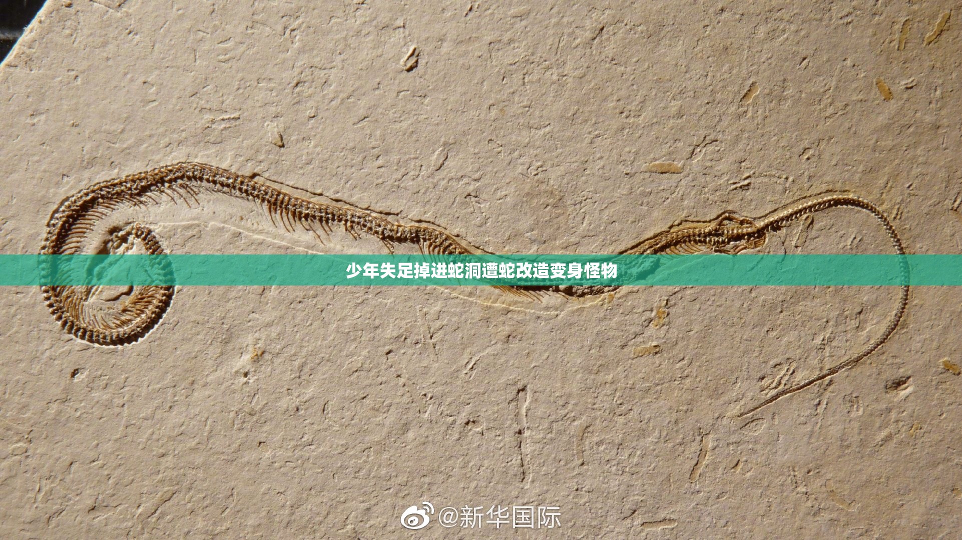 少年失足掉进蛇洞遭蛇改造变身怪物