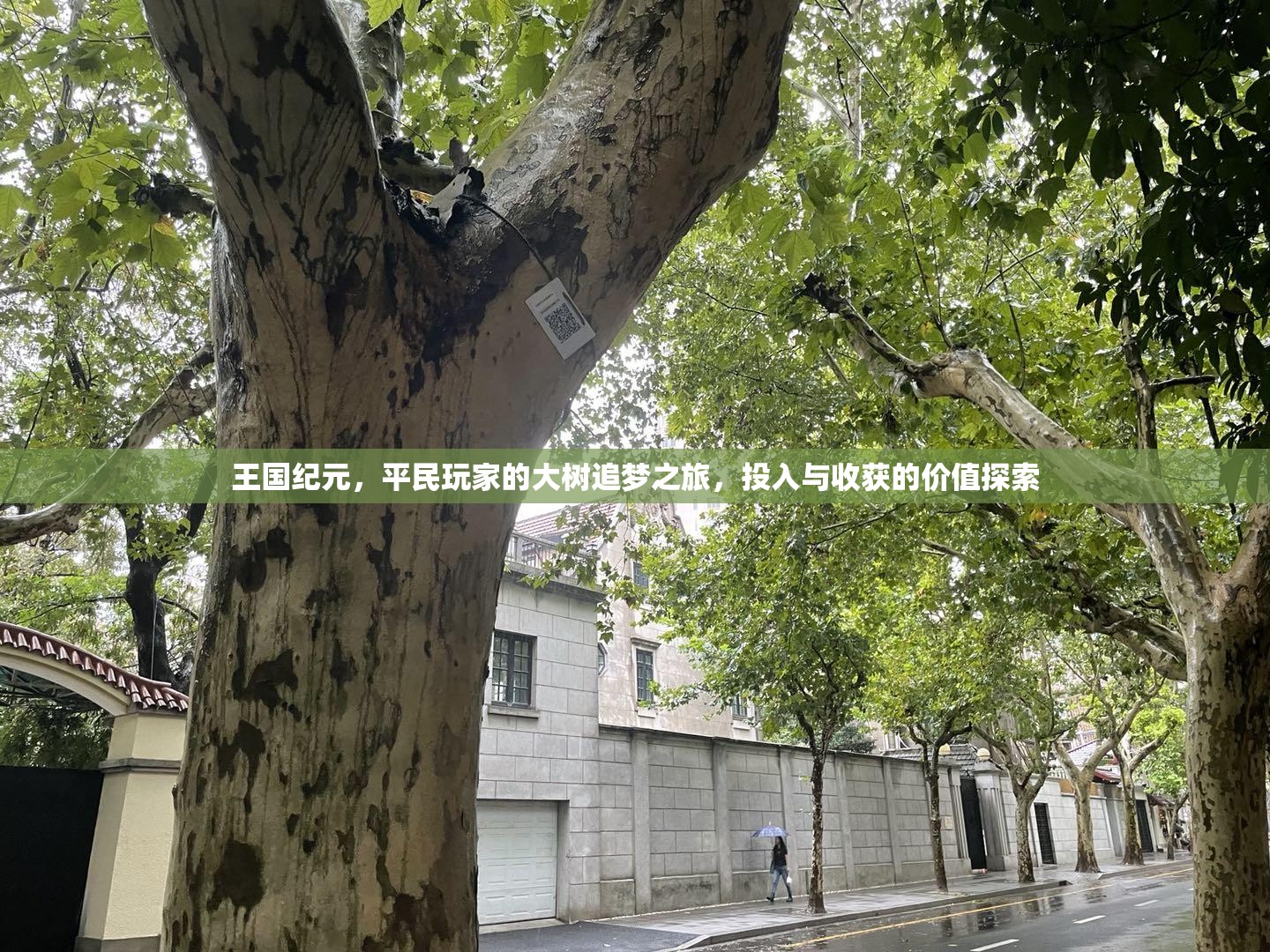 王国纪元，平民玩家的大树追梦之旅，投入与收获的价值探索