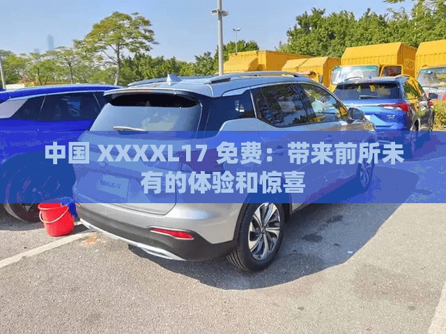 中国 XXXXL17 免费：带来前所未有的体验和惊喜