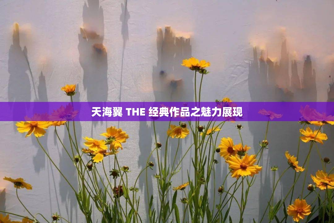 天海翼 THE 经典作品之魅力展现