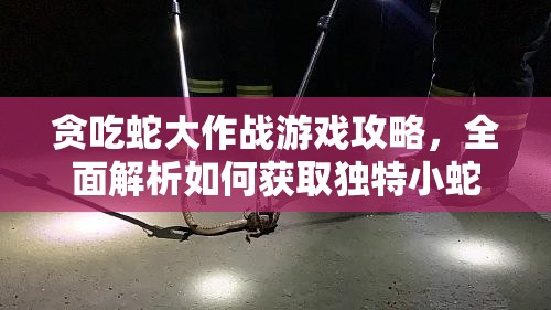 贪吃蛇大作战游戏攻略，全面解析如何获取独特小蛇皮肤的方法
