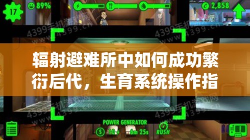 辐射避难所中如何成功繁衍后代，生育系统操作指南与注意事项