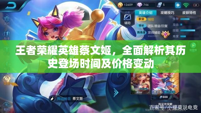 王者荣耀英雄蔡文姬，全面解析其历史登场时间及价格变动