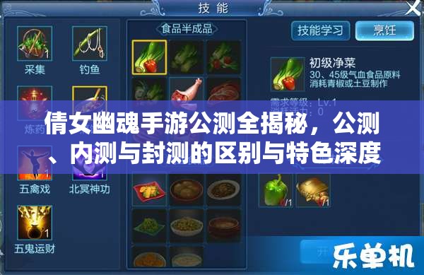 倩女幽魂手游公测全揭秘，公测、内测与封测的区别与特色深度解析