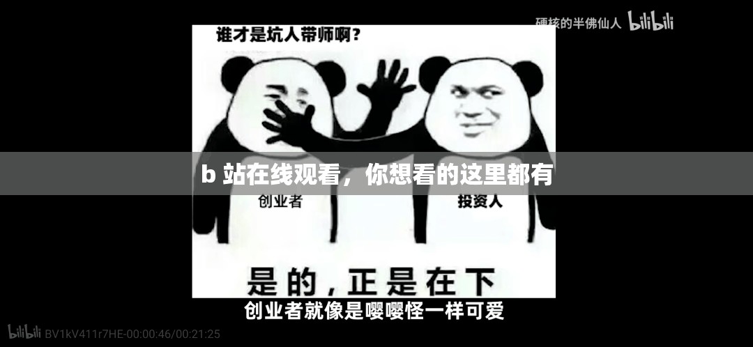b 站在线观看，你想看的这里都有