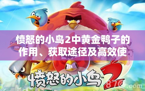 愤怒的小鸟2中黄金鸭子的作用、获取途径及高效使用管理策略